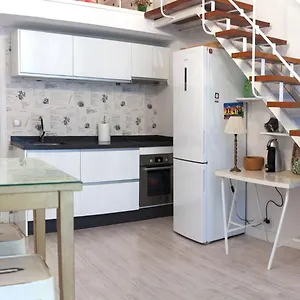  Appartement Duplex Center